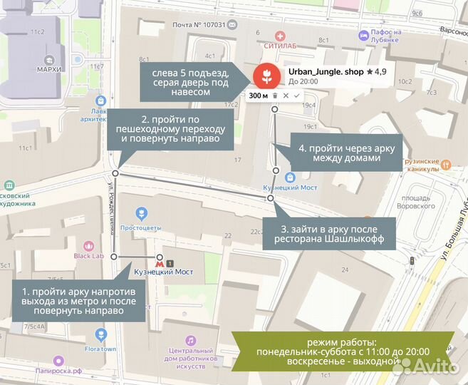 Фикус Абиджан 3в1 120см