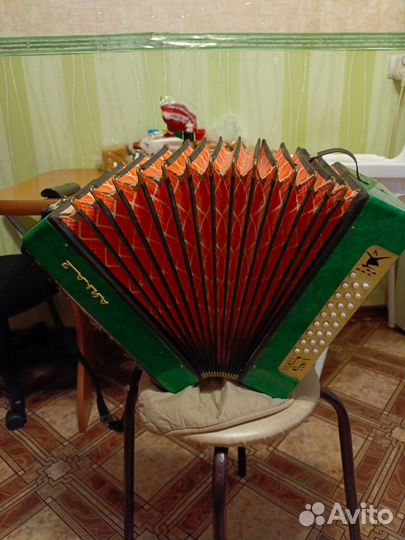 Гармонь чайка