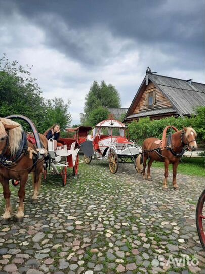 Экскурсия по городу Суздаль в карете