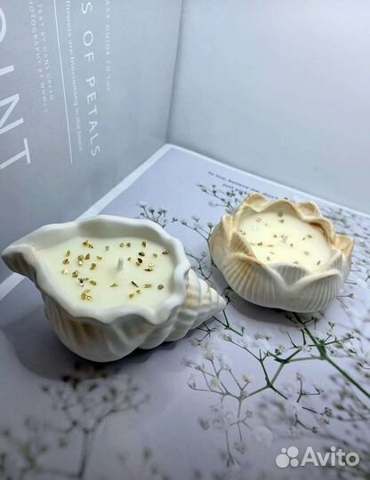 Ракушка из гипса