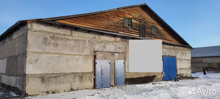 Производство грибов вешенка