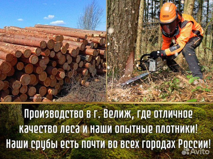 Сруб дома из бревна ручной рубки не бруса 8x6