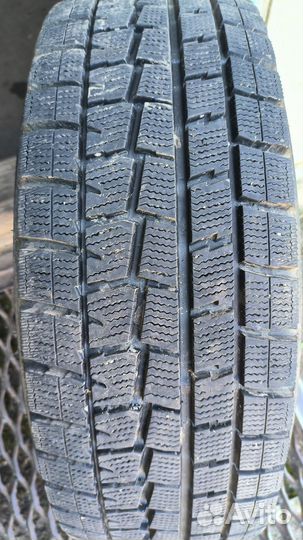 Dunlop Winter Maxx WM01 205/65 R15 94T