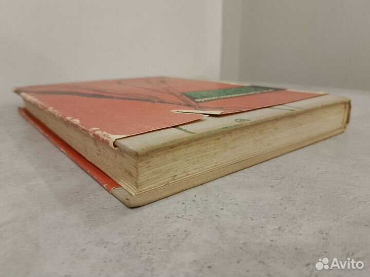 Малиновский Р.Я. Солдаты России