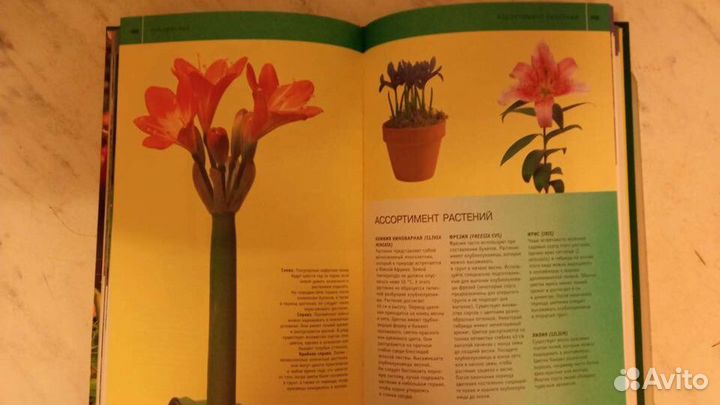 Подарочная книга-альбом Комнатные растения