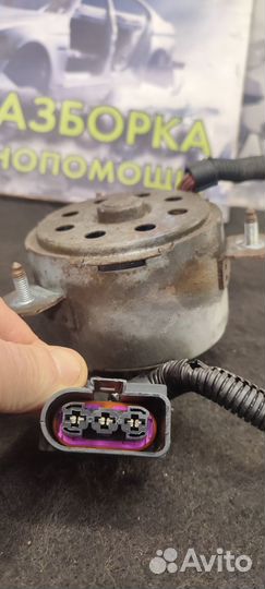 Моторчик вентилятора радиатора Seat Ibiza