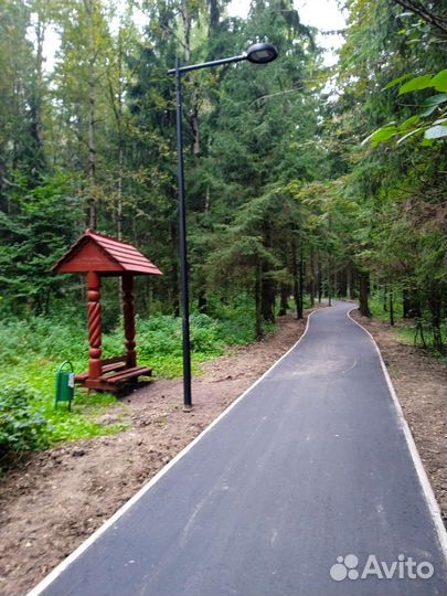 Яблоки бесплатно