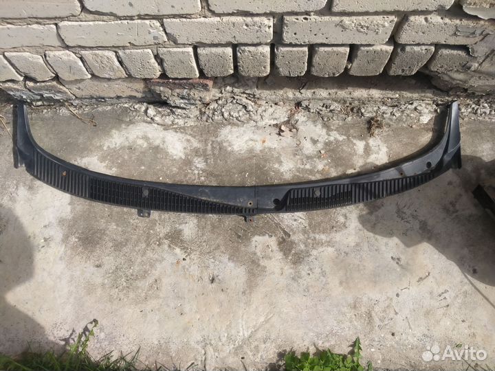 Жабо калина