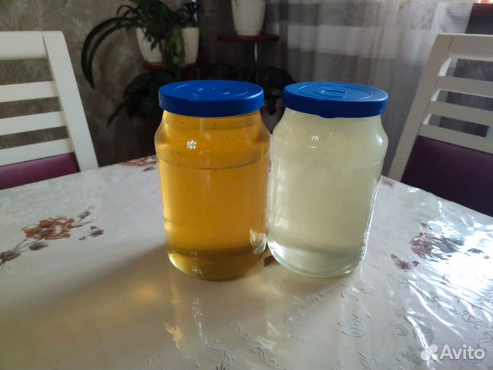 Мёд свежий - 2023 года (с. Гайдук)