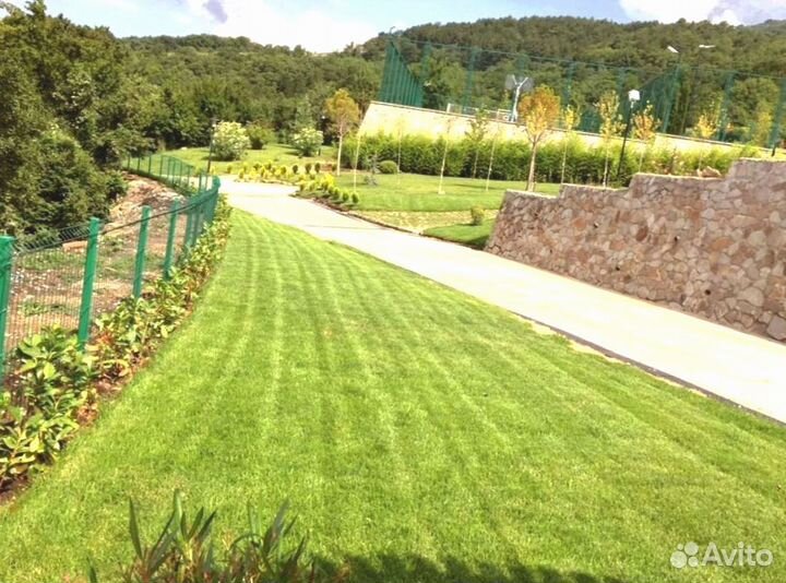 Рулонный газон