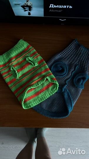 Одежда для сфинкса