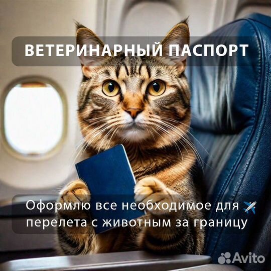 Ветеринарный паспорт, ф1, ф5, титры бешенства