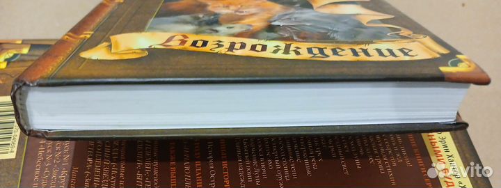 Коты воители Возрождение