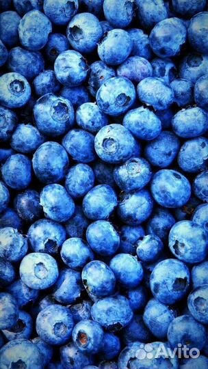 Комплектовщик Вахта Самара 3500 смена