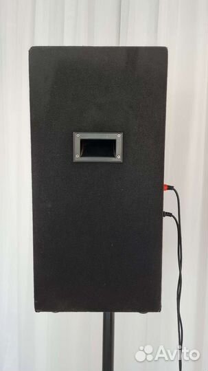 Активные колонки пара SoundKing J215A