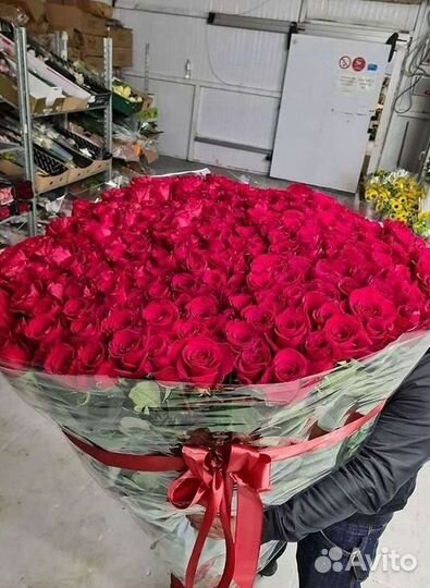 Длинные высокие розы 110 150 160 180 200 см