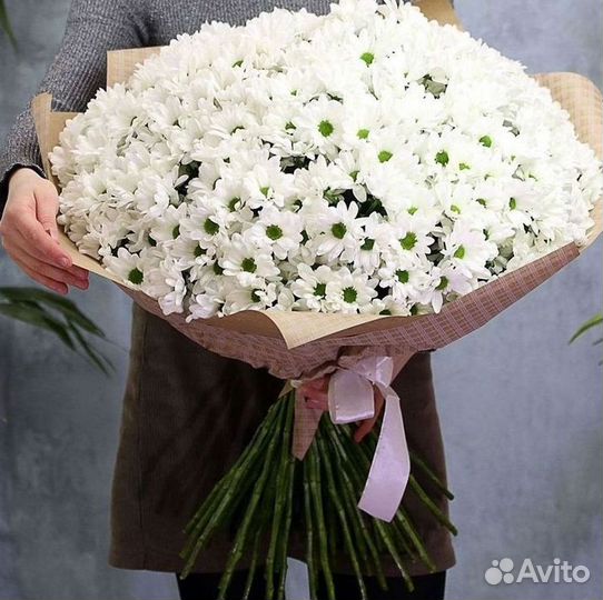 Доставка букетов и цветов. Хризантема