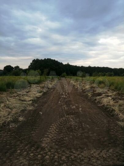 Участок 15 сот. (ИЖС)