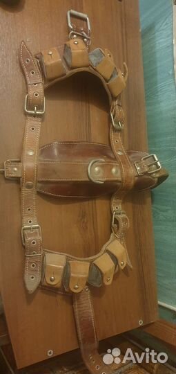 Ошейник для крупной собаки