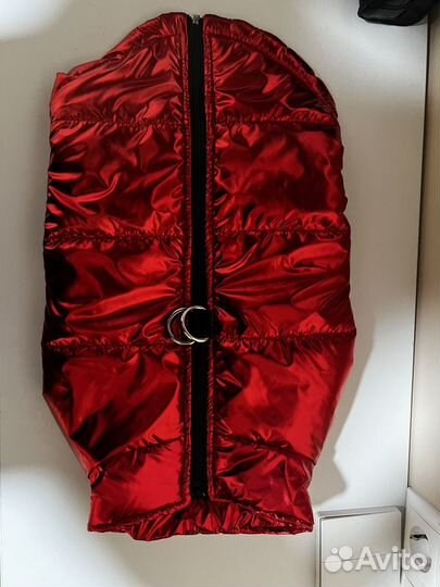 Одежда для собак