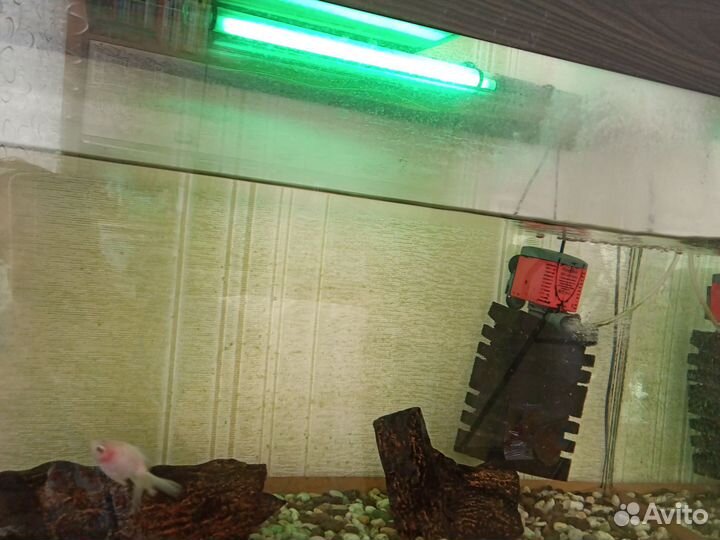 Аквариум с рыбками