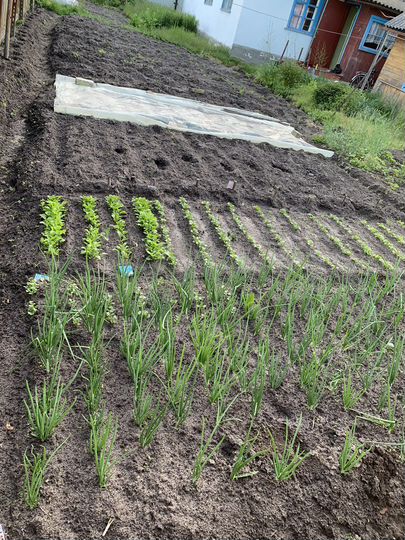 Коттедж 49 м² на участке 4 сот.