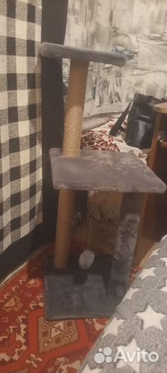 Когтеточка для кошек