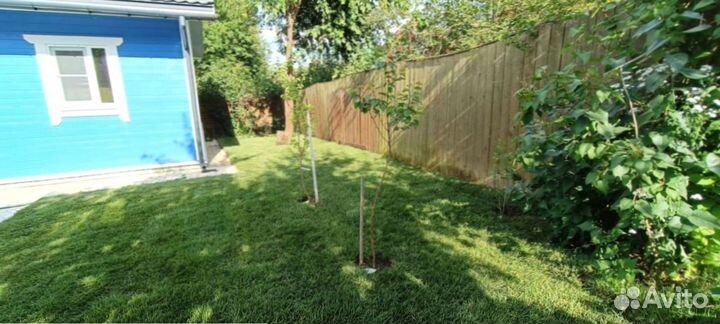 Рулонный газон для участка