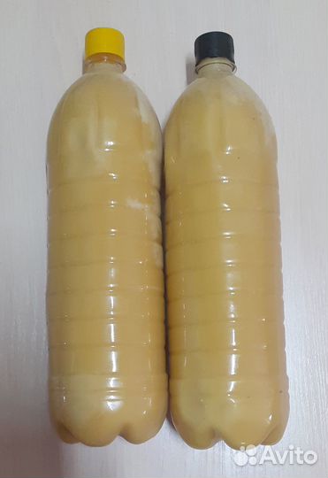 Мед алтайский