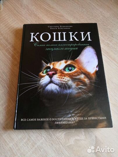 Книга о кошках