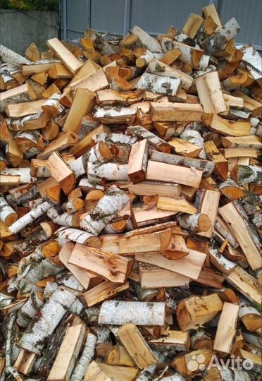 Деревья под сруб