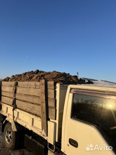 Навоз коровий