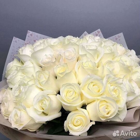 Высокие розы Гигантские Розы 150 160 170 180 190см