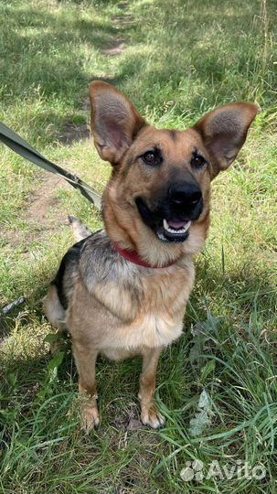 Забава в добрые руки