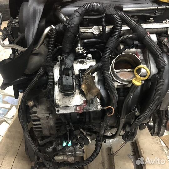 Двигатель z22se