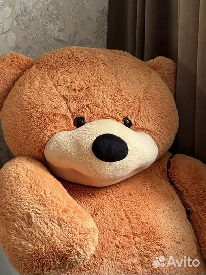 Большие плюшевые медведи