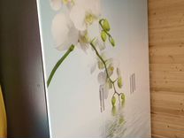 Шкаф венге с фотопечатью "Орхидея"150*50*203см