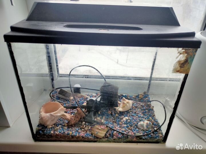 Аквариум