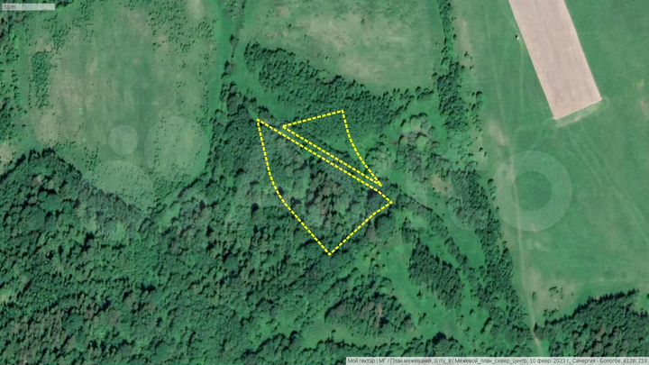 Участок 86 сот. (СНТ, ДНП)