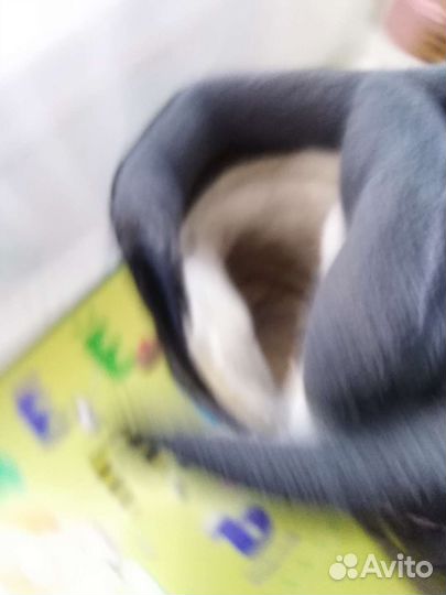 Ботинки детские 29-30 размер