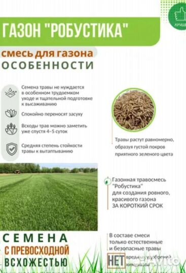 Газонная трава Рабустика