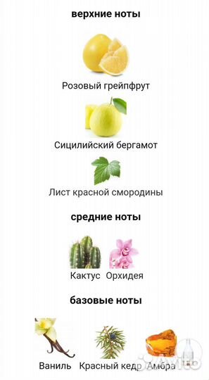 CK IN2U for Her Calvin Klein