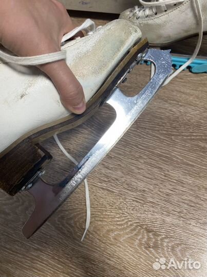 Коньки Risport Excellence 220