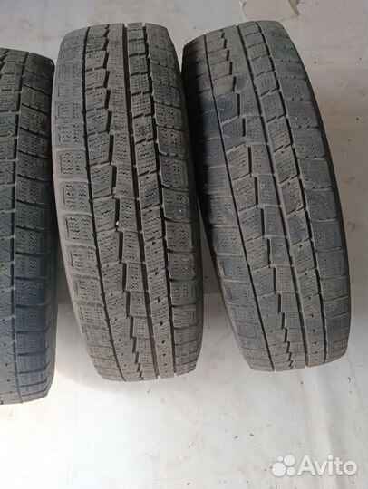 Dunlop Winter Maxx 175/70 R14