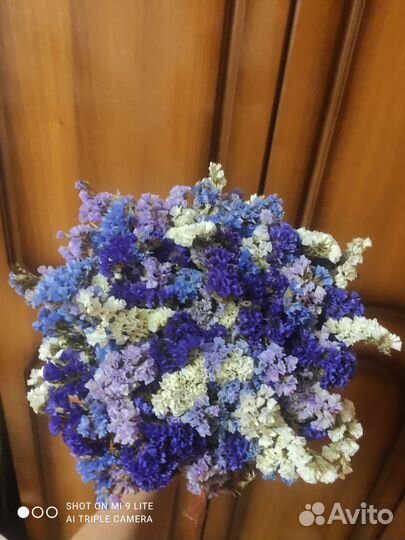 Букет из сухоцветов