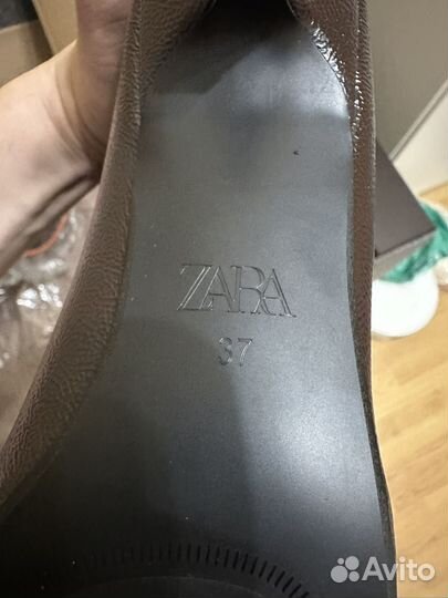 Сапоги женские 37 Zara