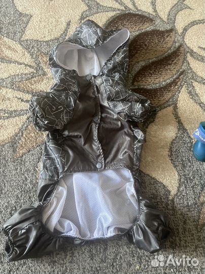 Одежда для собак мелких пород