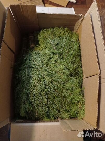 Веники пихтовые