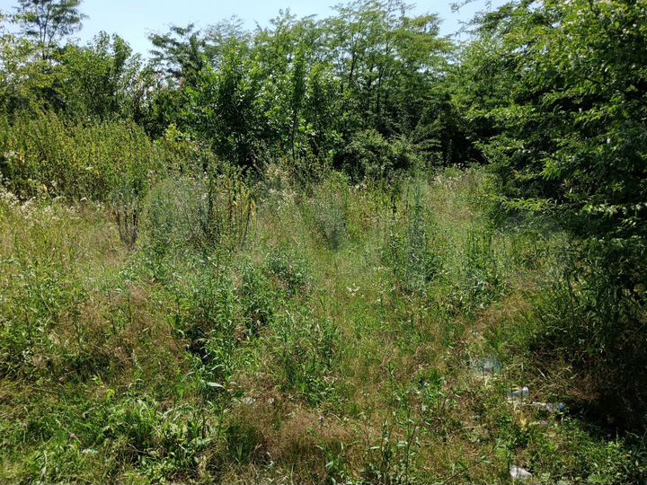 Участок 7,6 сот. (ИЖС)