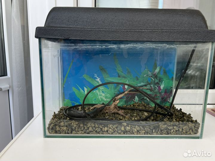 Аквариум